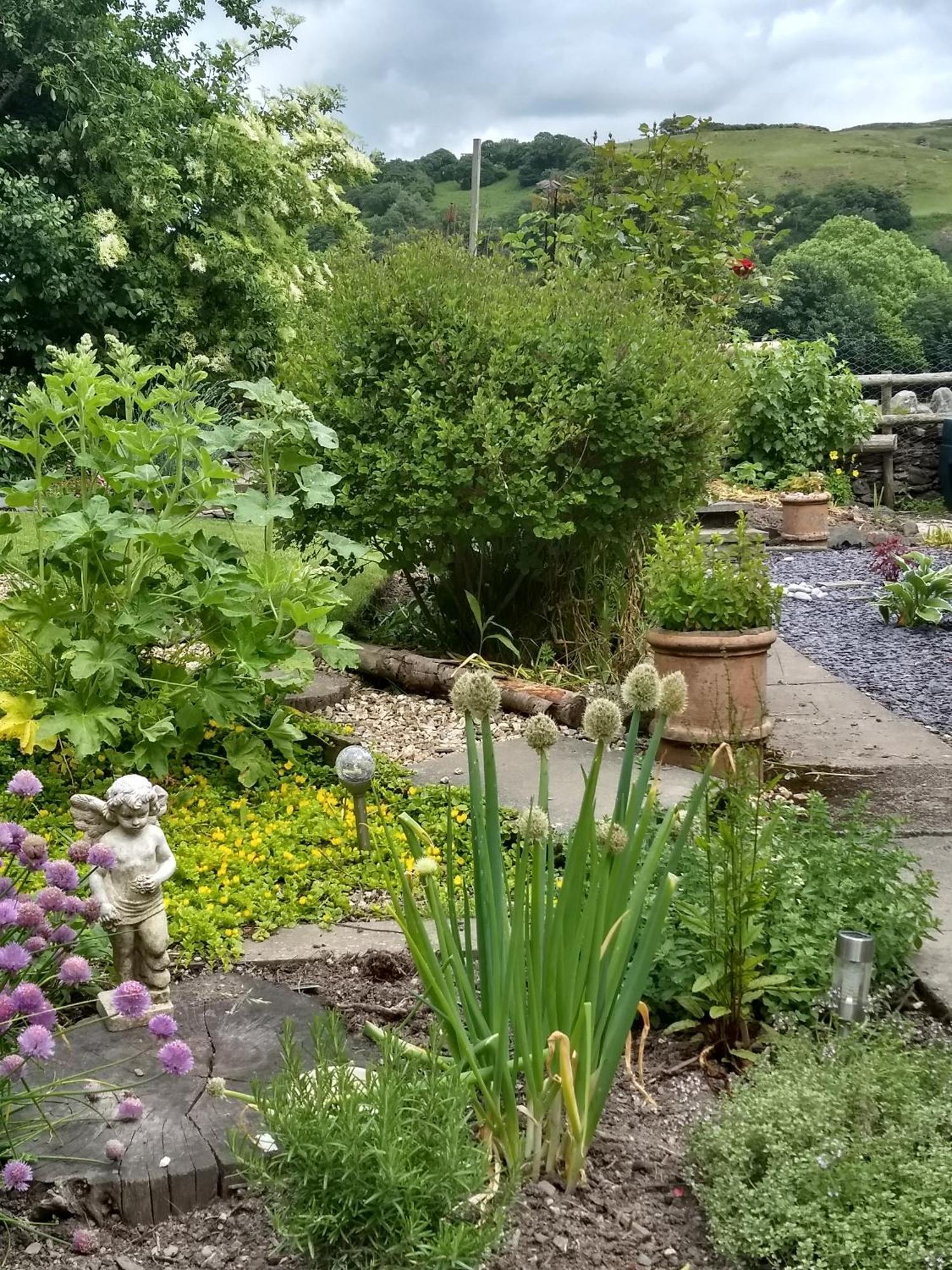 Pentre Isaf Bed & Breakfast Conwy Ngoại thất bức ảnh