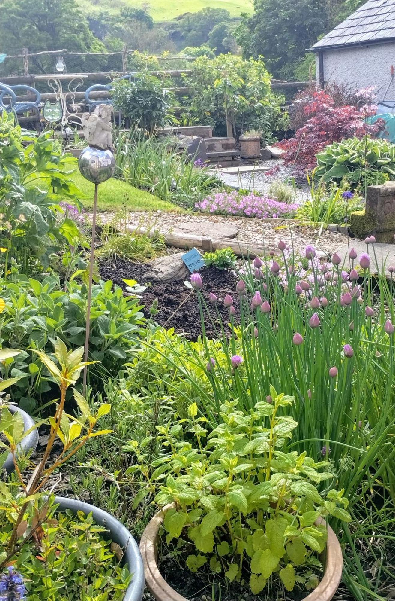 Pentre Isaf Bed & Breakfast Conwy Ngoại thất bức ảnh